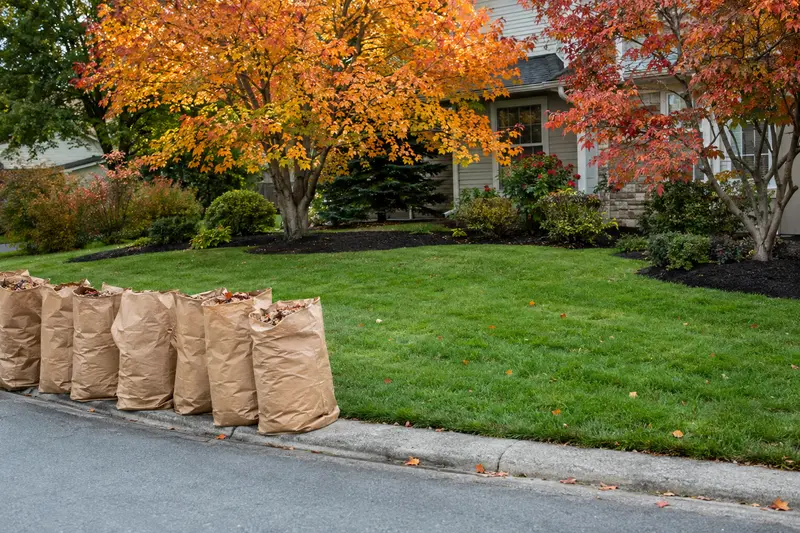 Finished fall cleanup with bagged leaves at the curb and fresh mulch beds